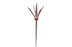 Lightning Arrester Multi Points Exporter